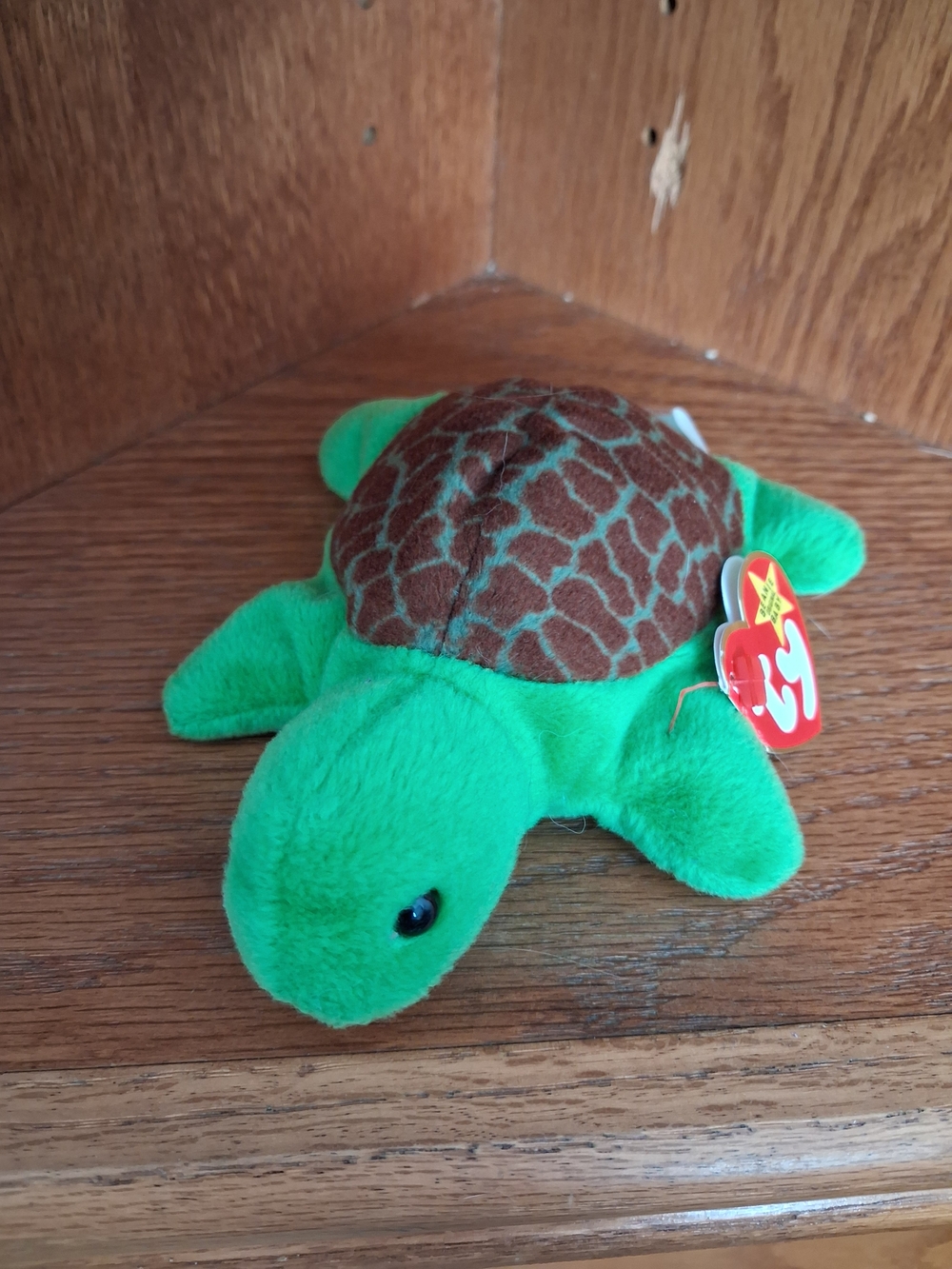 TY Beanie Baby Speedy the Turtle | Vintage Plush | Excellent Condition